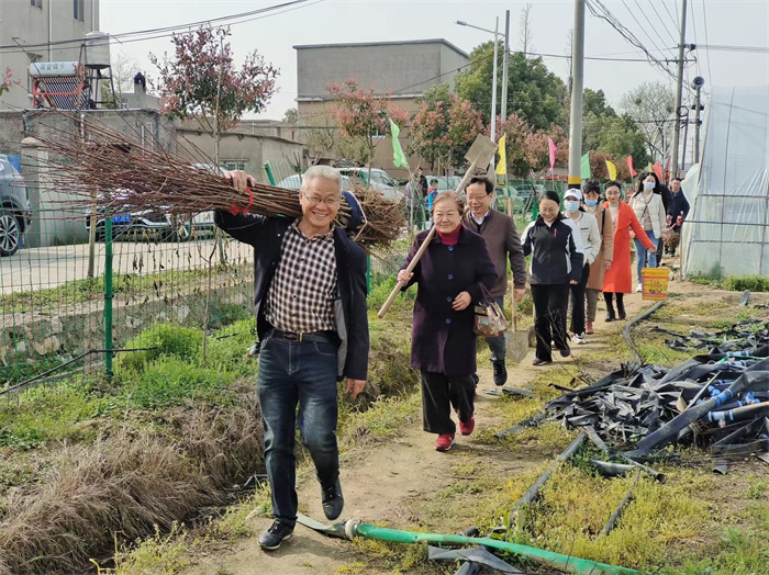 安庆民进多支部联合开展植树活动 (2)