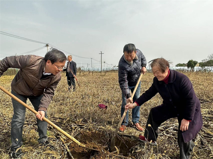 安庆民进多支部联合开展植树活动 (1)